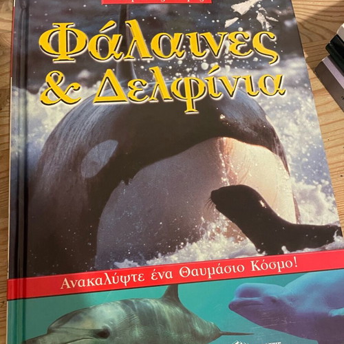 Whales and Dolphins book used, very good condition