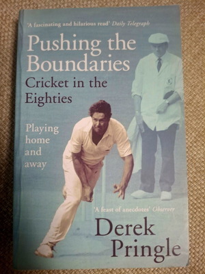 Book Pushing the Boundaries English literature like new