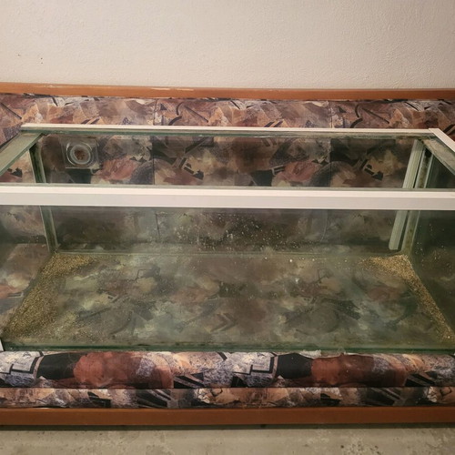 Aquarium used 270 liters with dimensions 124x46x46