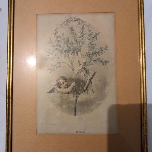 Set of 4 flower engravings like new