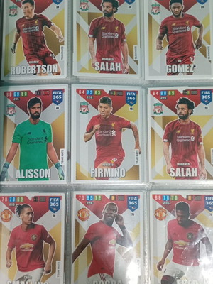2020 Rare Cards collection, like new, 179 cards with Limited Edition