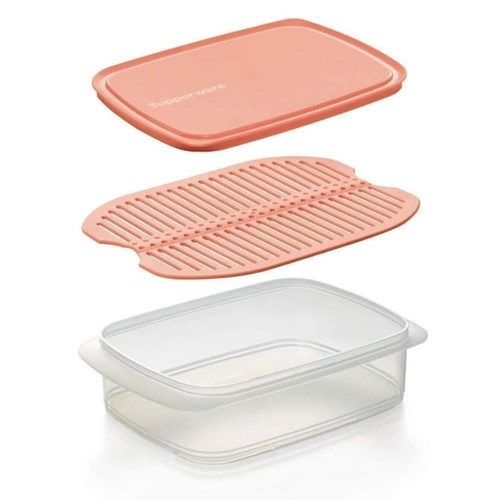 Compact container 1.5L new with lid and high rack