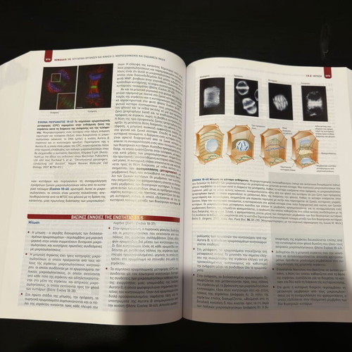 Molecular Cell Biology new edition 2019 by Utopia