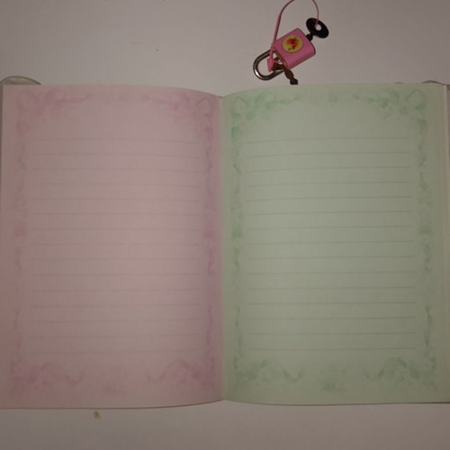 Vintage diary new with lock