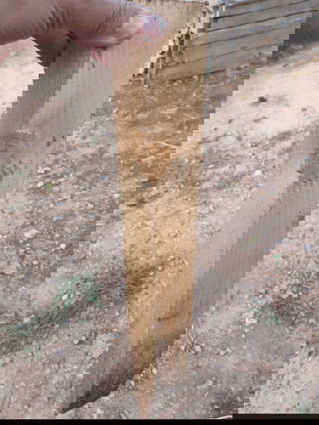 Ξύλινοι πάσσαλοι 50cm.