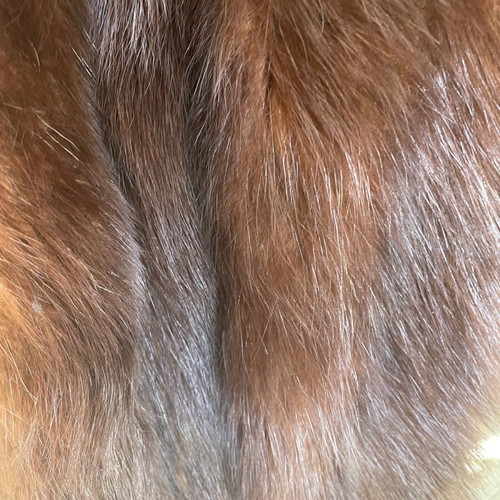 Fur Etoual Visón like new