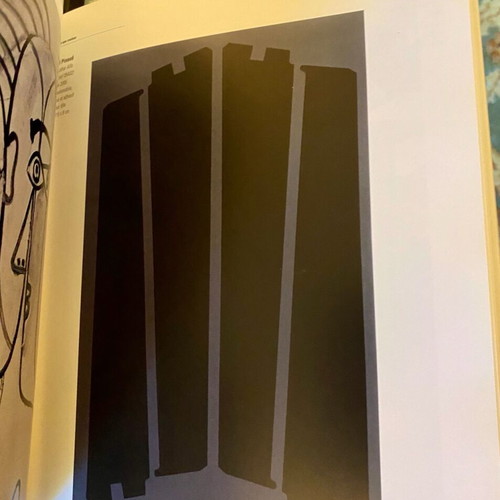 Le noir est une couleur book like new, French