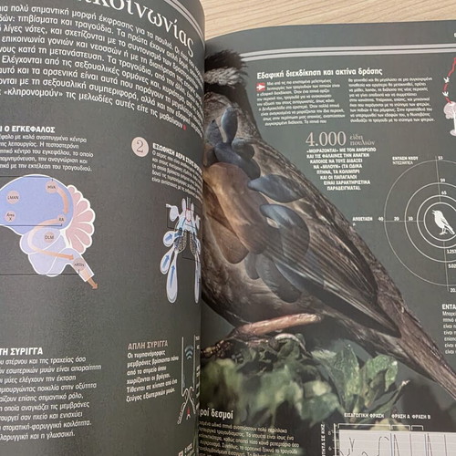 Atlas of Sciences Birds illustrated guide like new