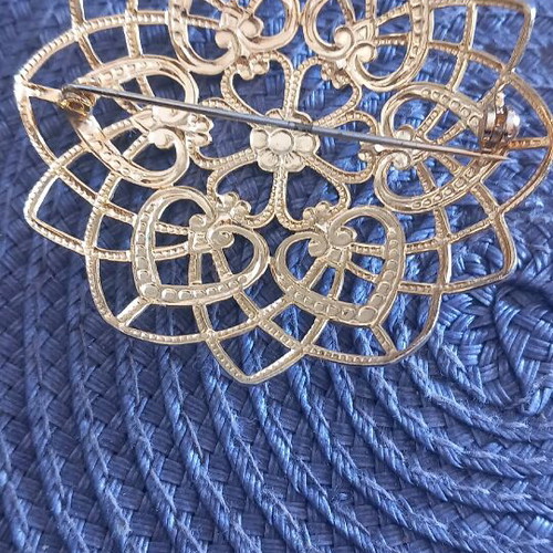 Brooch impressive detailed