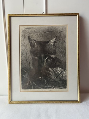 Rare Authentic Wood Engraving "The Fox and the Duck" 1872 Like New with Frame