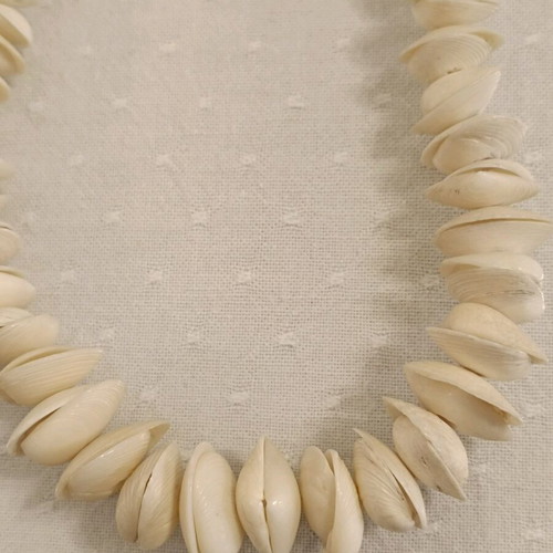 Necklace new with shells and safety clasp