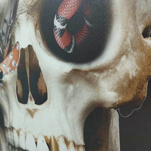 Skull painting with snakes used 100x59