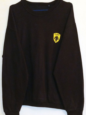 AEK Handball Training Sweatshirt 2019 - 2020 like new, size XL
