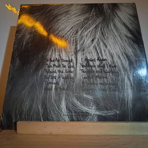 Phil Collins Face Value LP used