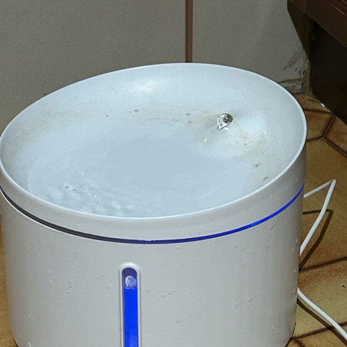 Pet water fountain like new, automatic water dispenser with USB