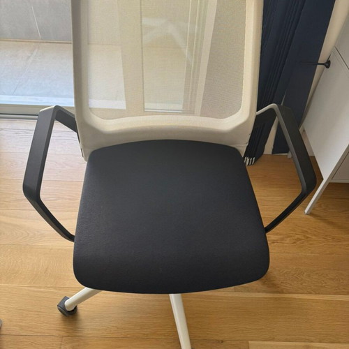 Interstuhl professional office chair with mesh back