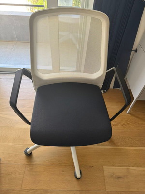 Interstuhl professional office chair with mesh back