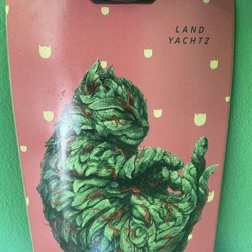 Landyachtz Cruiser Skateboard