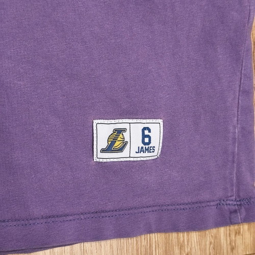 NBA Los Angeles Lakers LeBron James #6 graphic t-shirt used, purple XS