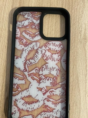 Iphone 12/Pro case new