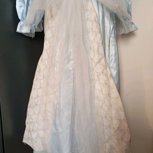 Victorian style carnival costume size 12 like new