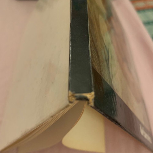 Delacroix book used with paintings