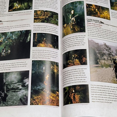 Tomb Raider Limited Edition Hard Cover Guide