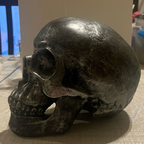 Decorative skull coin bank used, silver-gray