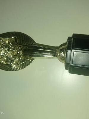 Subbuteo Jules Rimet Cup C 119 μινιατούρα τροπαίου, Με αλλοιώσεις