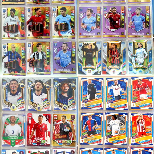 Panini sticker album with 270 special cards, complete