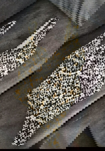 Leopard swimsuit Large H&M λεοπαρ μαγιο