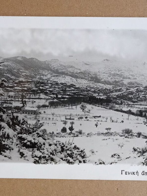 Postcard General View of Vytina black and white used