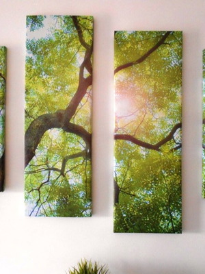 Nature four-panel canvas painting used, stretched canvas
