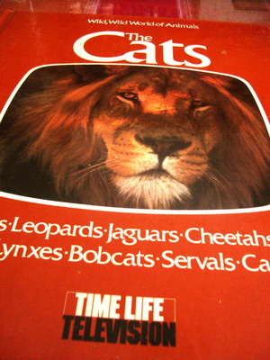 Wild, Wild World of Animals The Cats βιβλίο καινούργιο