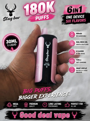 Stag Bar 6in1 180K Premium Vape with 6 Flavors and USB-C Charging
