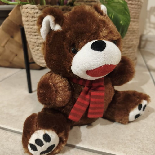Argoodaki plush bear small size like new Goodys