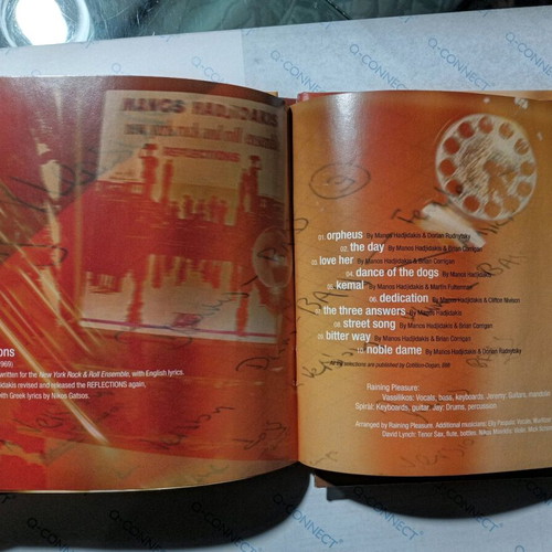 Raining Pleasure Reflections CD used, rock