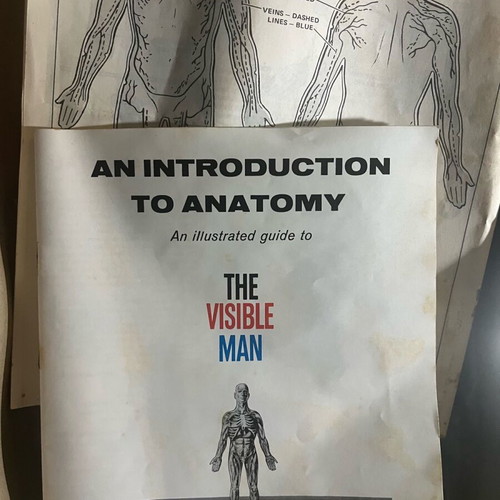 Rare 70s Revell human body model kit like new