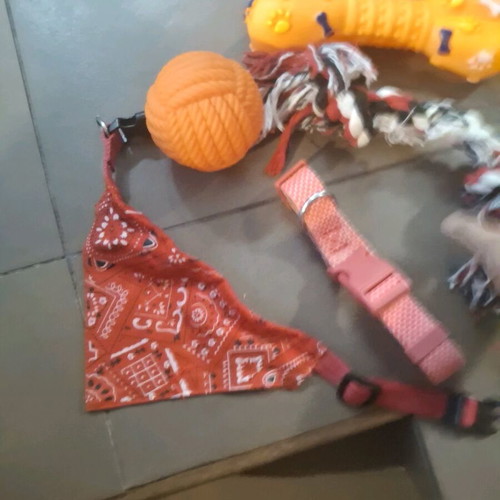 Pet toys and leashes like new, 2 leashes, ball and 2 toys