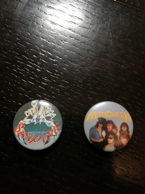 Collectible vintage pins in excellent condition, set of 2