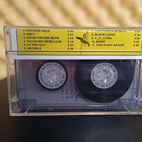 Anthrax Sound of White Noise cassette tape used