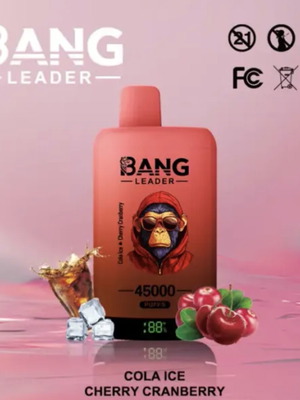 Bang Leader Vape 45K puffs 2in1 new, dual flavor option