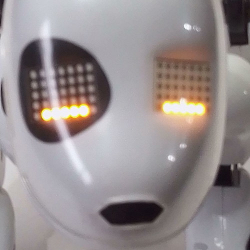 Zoomer Dog Robot Omnibot interactive dog used
