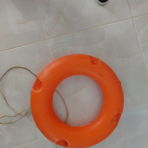 Circular Adult Lifebuoy new with rope