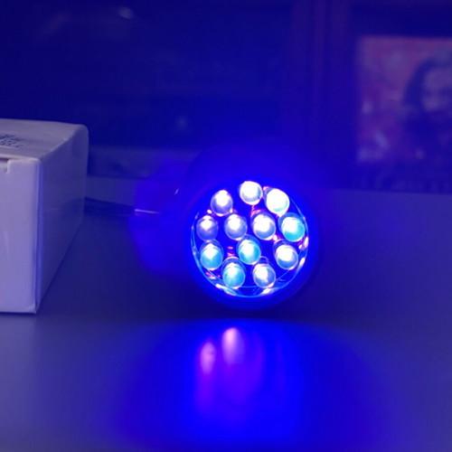 UV flashlight for fishing new, high power 6V