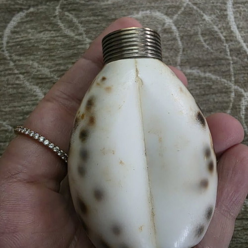 Salt and pepper set made of natural shell like new