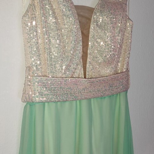 Cecilia Personal formal dress size medium like new
