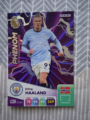 Картица Erling Haaland Panini Adrenalyn Premier League 2024-2025 нова