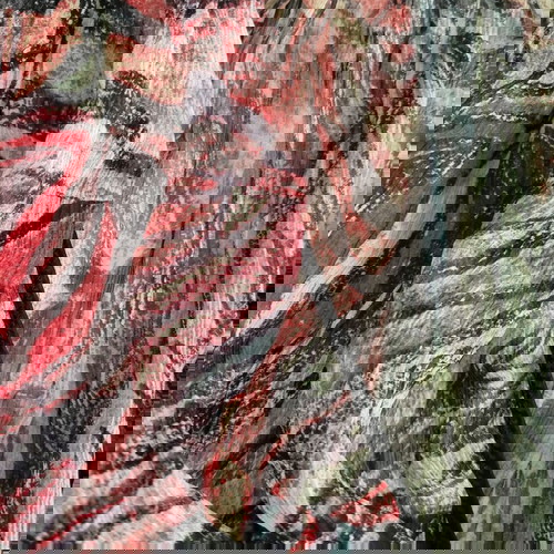 Top multicolor διαφανές μέγεθος Μ σαν καινούργιο