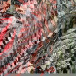  Top multicolor διαφανές μέγεθος Μ